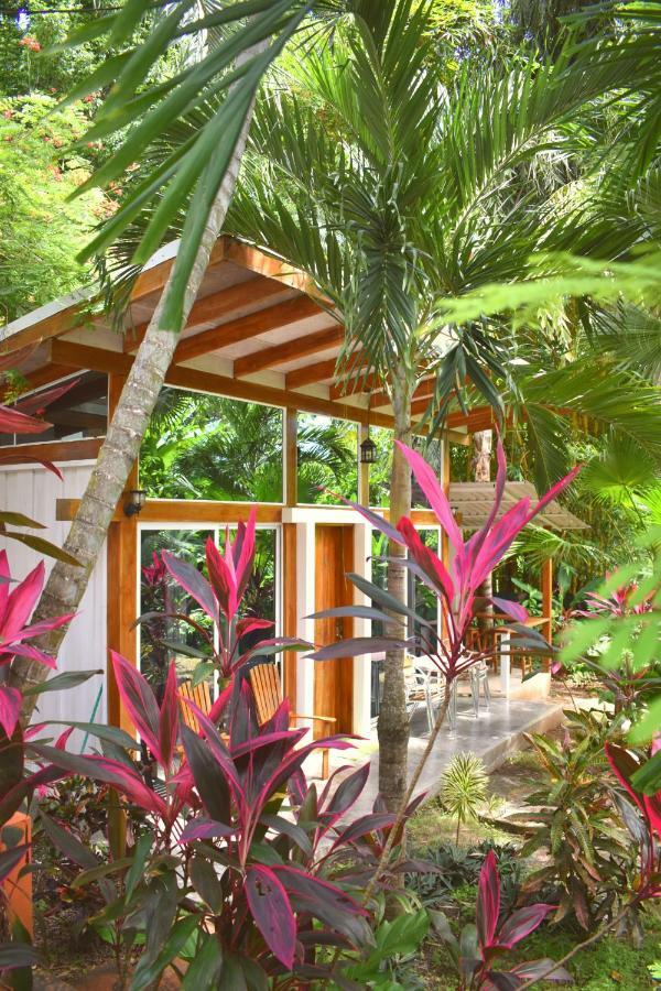 Fuego Lodge Playa Santa Teresa  المظهر الخارجي الصورة